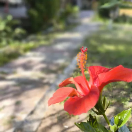 çirali Natural Lıfe